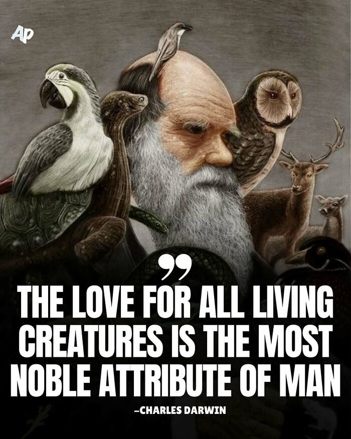 63 Interesting And Cool Animal Facts You Don&rsquo;t Actually Need But Will Never Regret Learning