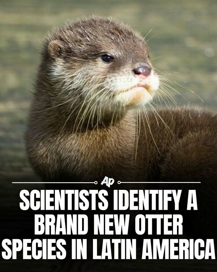 63 Interesting And Cool Animal Facts You Don&rsquo;t Actually Need But Will Never Regret Learning