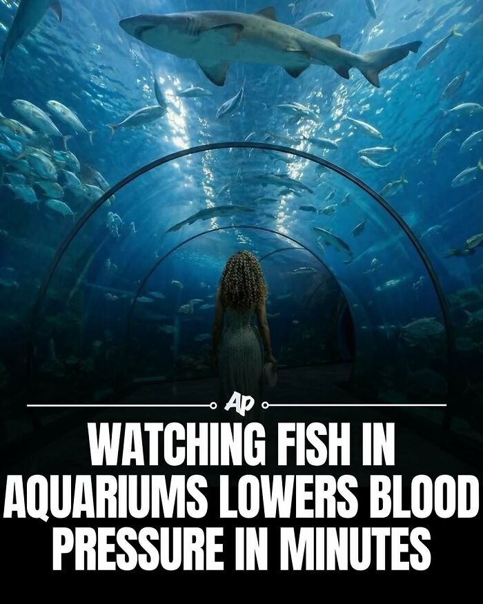 63 Interesting And Cool Animal Facts You Don&rsquo;t Actually Need But Will Never Regret Learning