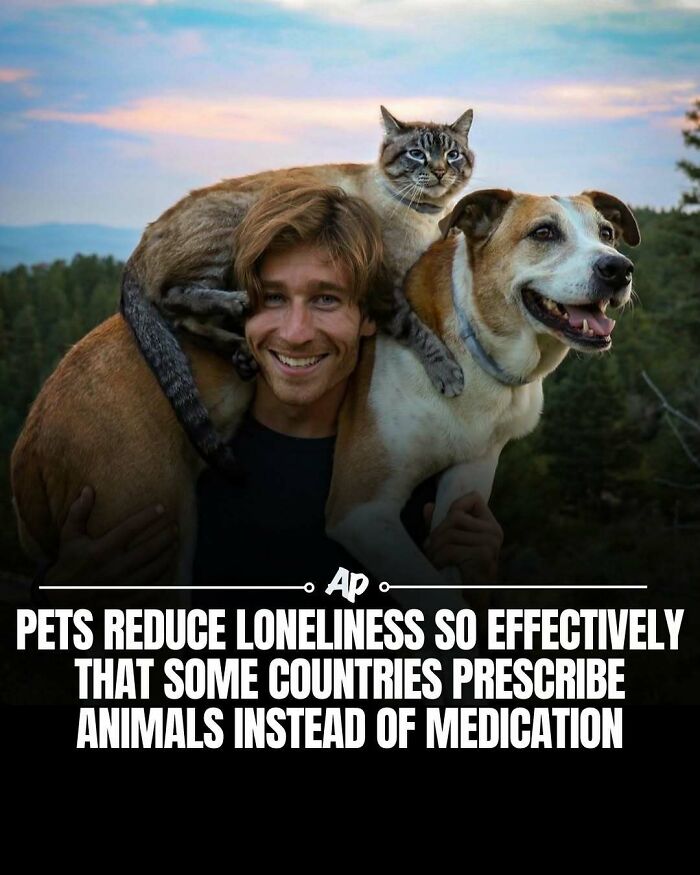 63 Interesting And Cool Animal Facts You Don&rsquo;t Actually Need But Will Never Regret Learning