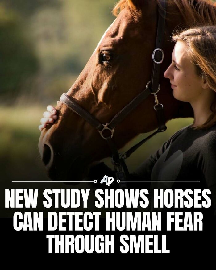 63 Interesting And Cool Animal Facts You Don&rsquo;t Actually Need But Will Never Regret Learning
