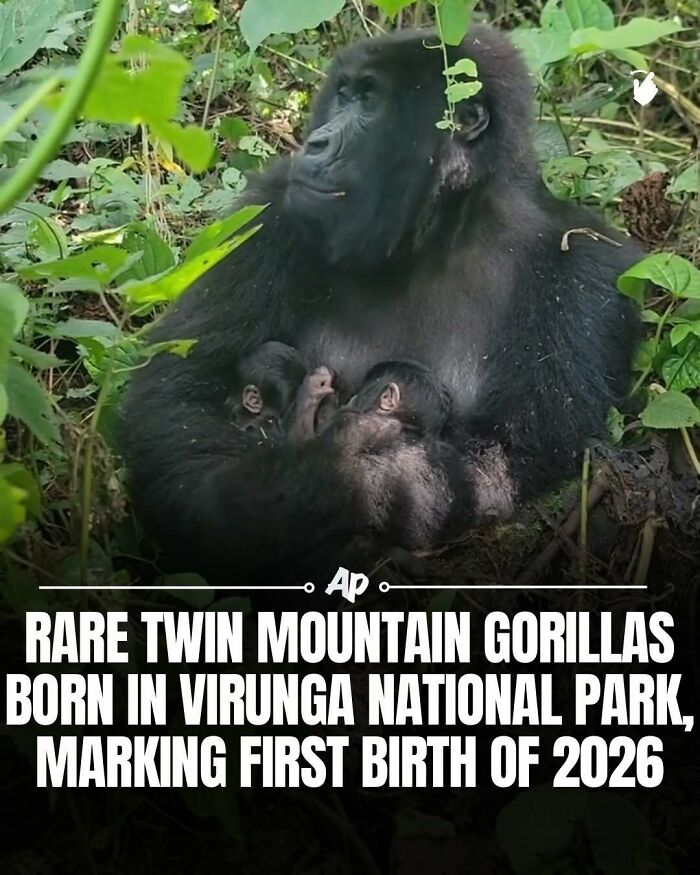 63 Interesting And Cool Animal Facts You Don&rsquo;t Actually Need But Will Never Regret Learning