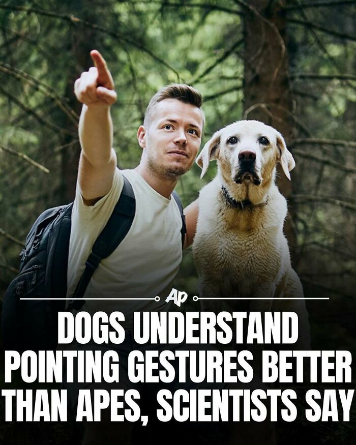 63 Interesting And Cool Animal Facts You Don&rsquo;t Actually Need But Will Never Regret Learning