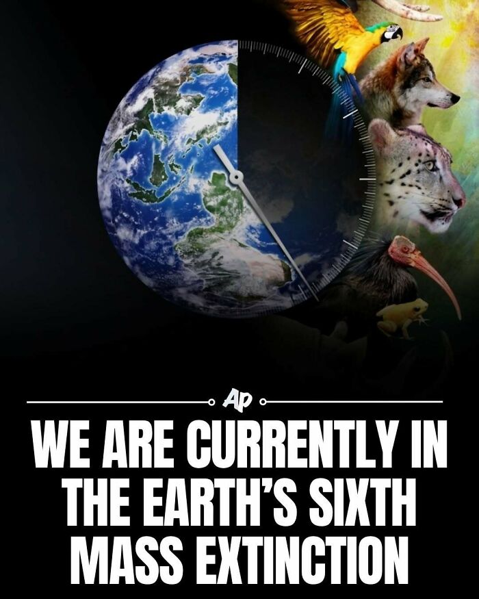 63 Interesting And Cool Animal Facts You Don&rsquo;t Actually Need But Will Never Regret Learning