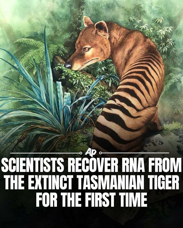63 Interesting And Cool Animal Facts You Don&rsquo;t Actually Need But Will Never Regret Learning