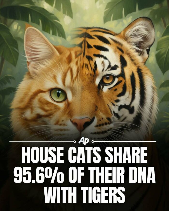 63 Interesting And Cool Animal Facts You Don&rsquo;t Actually Need But Will Never Regret Learning