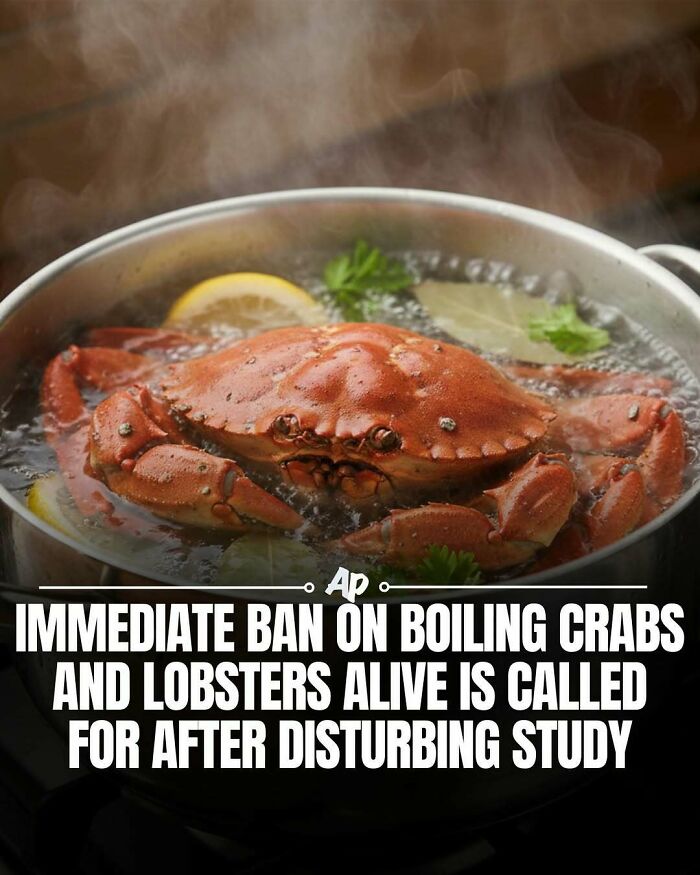 63 Interesting And Cool Animal Facts You Don&rsquo;t Actually Need But Will Never Regret Learning