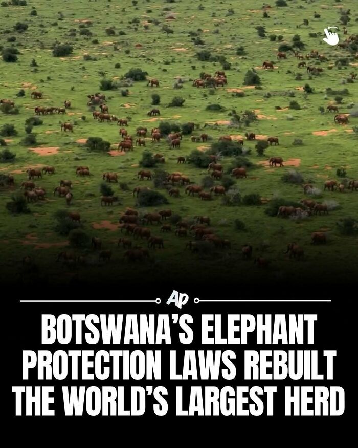63 Interesting And Cool Animal Facts You Don&rsquo;t Actually Need But Will Never Regret Learning