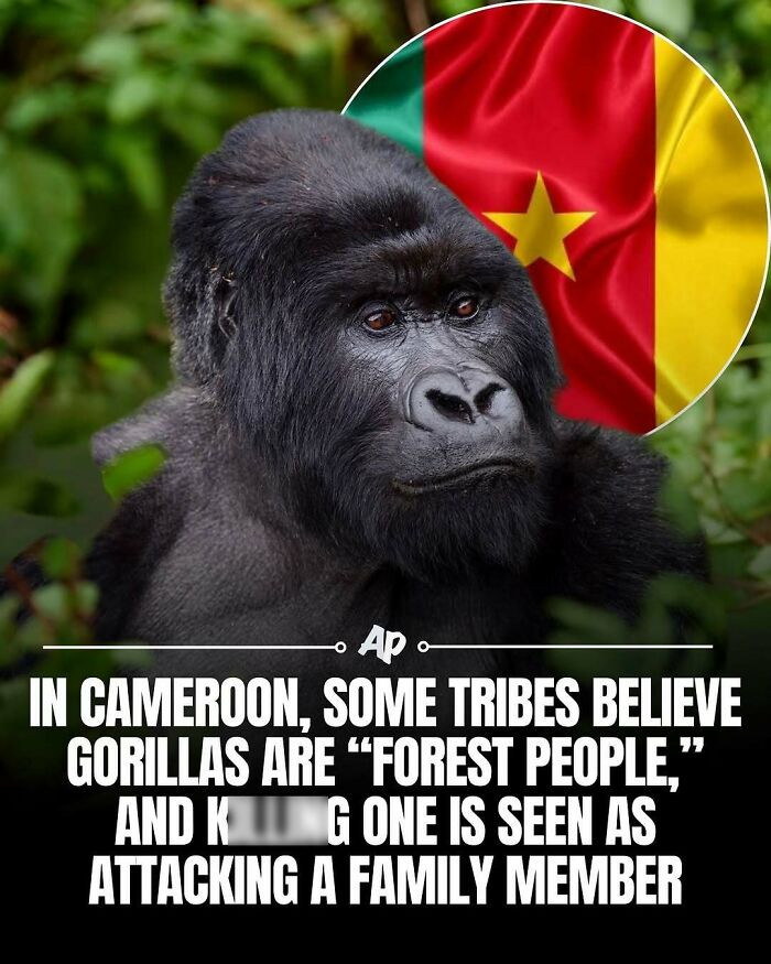 63 Interesting And Cool Animal Facts You Don&rsquo;t Actually Need But Will Never Regret Learning