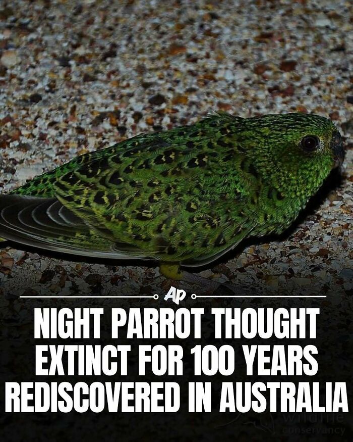 63 Interesting And Cool Animal Facts You Don&rsquo;t Actually Need But Will Never Regret Learning
