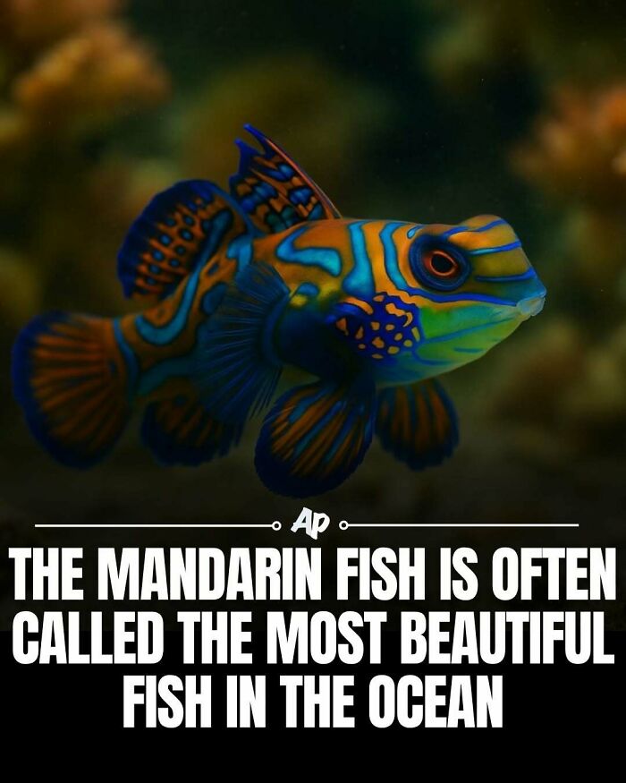63 Interesting And Cool Animal Facts You Don&rsquo;t Actually Need But Will Never Regret Learning