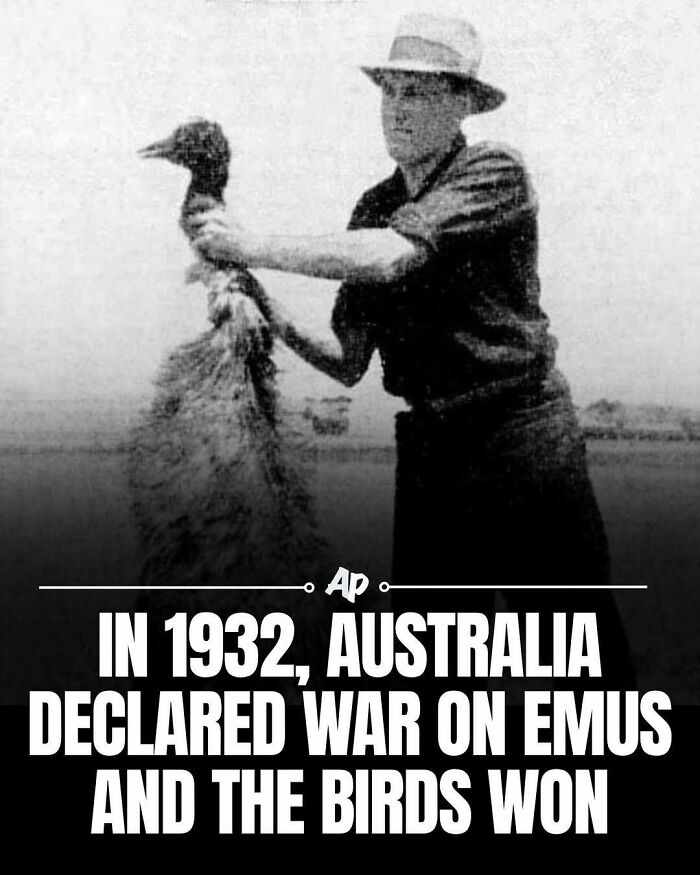 63 Interesting And Cool Animal Facts You Don&rsquo;t Actually Need But Will Never Regret Learning