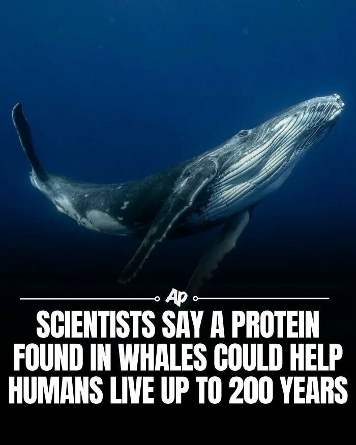 63 Interesting And Cool Animal Facts You Don&rsquo;t Actually Need But Will Never Regret Learning