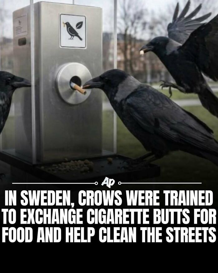 63 Interesting And Cool Animal Facts You Don&rsquo;t Actually Need But Will Never Regret Learning