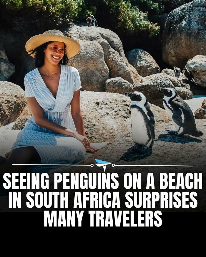 63 Interesting And Cool Animal Facts You Don&rsquo;t Actually Need But Will Never Regret Learning