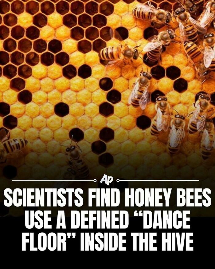 63 Interesting And Cool Animal Facts You Don&rsquo;t Actually Need But Will Never Regret Learning