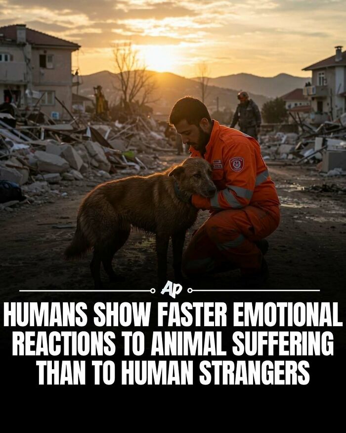 63 Interesting And Cool Animal Facts You Don&rsquo;t Actually Need But Will Never Regret Learning