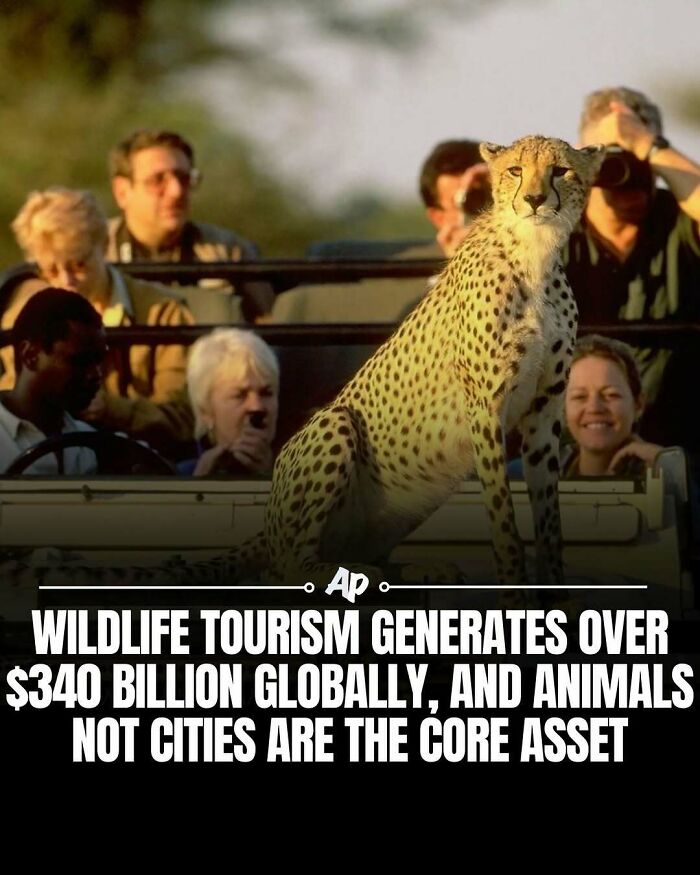 63 Interesting And Cool Animal Facts You Don&rsquo;t Actually Need But Will Never Regret Learning