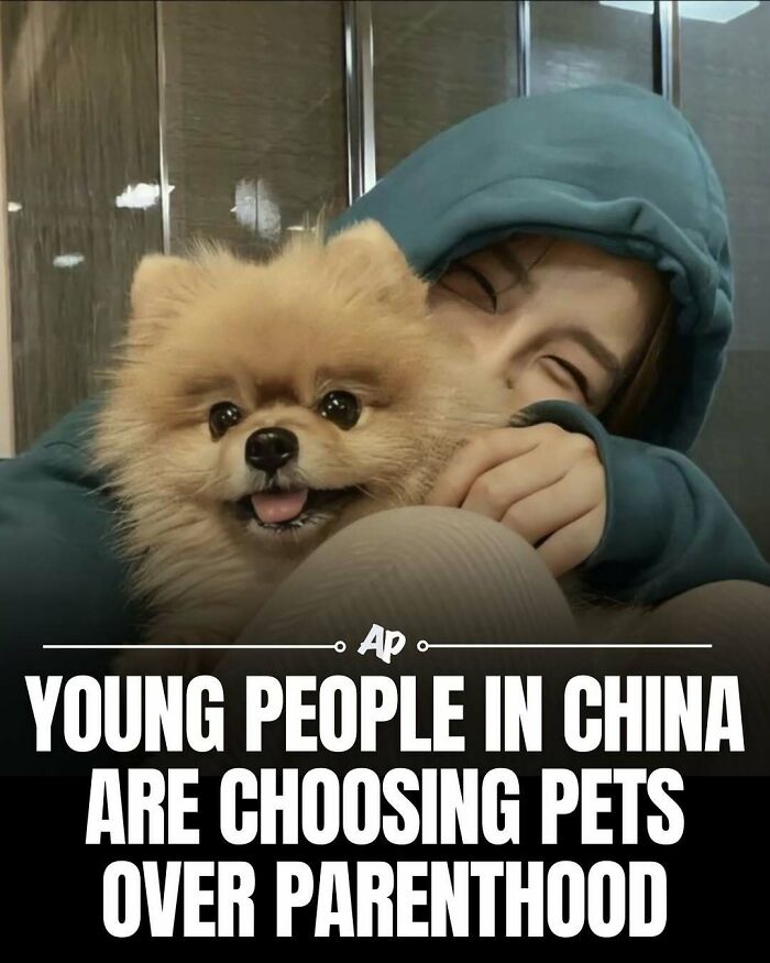 63 Interesting And Cool Animal Facts You Don&rsquo;t Actually Need But Will Never Regret Learning