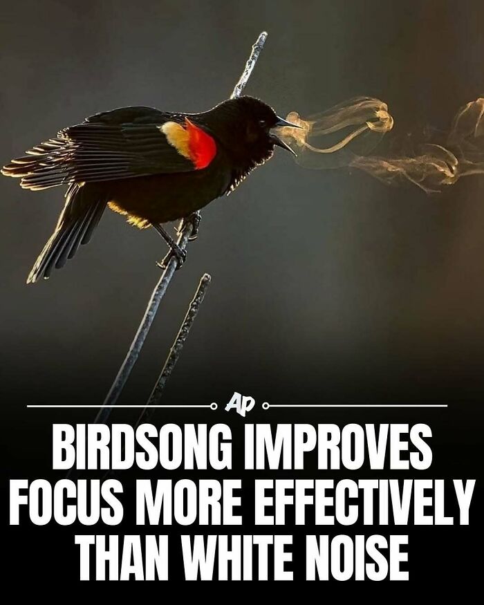 63 Interesting And Cool Animal Facts You Don&rsquo;t Actually Need But Will Never Regret Learning