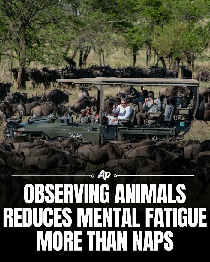63 Interesting And Cool Animal Facts You Don&rsquo;t Actually Need But Will Never Regret Learning