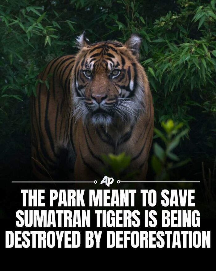 63 Interesting And Cool Animal Facts You Don&rsquo;t Actually Need But Will Never Regret Learning