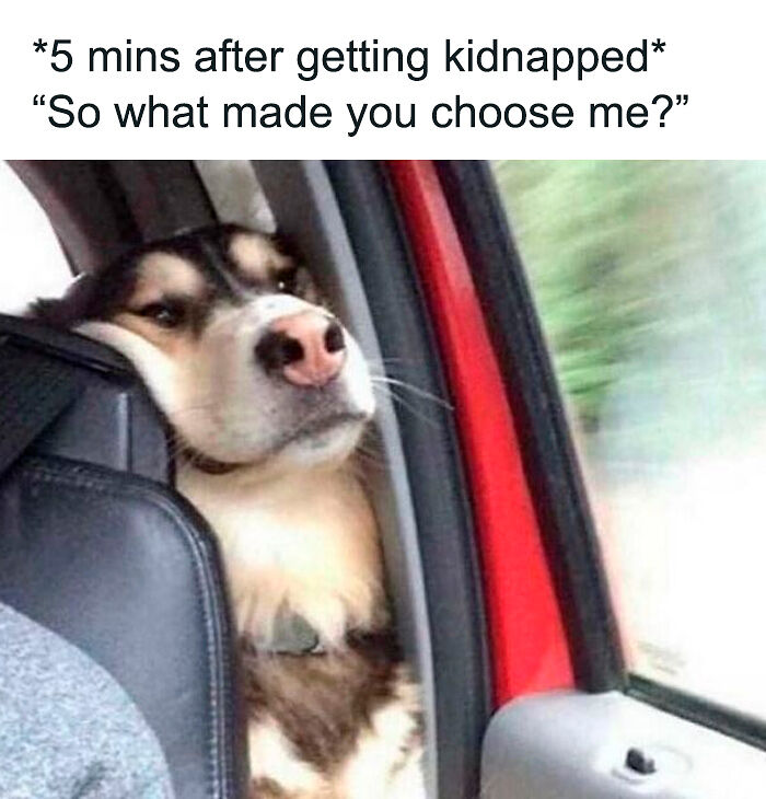 If You Needed Something To Laugh At Today, These 78 Random Memes Might Do The Job If You Needed Something To Laugh At Today, These 78 Random Memes Might Do The Job