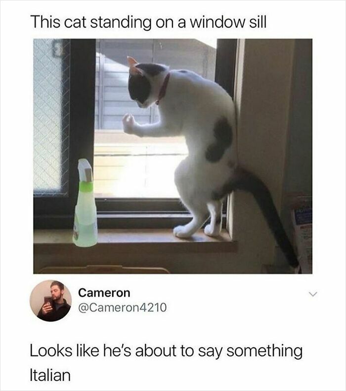 If You Needed Something To Laugh At Today, These 78 Random Memes Might Do The Job If You Needed Something To Laugh At Today, These 78 Random Memes Might Do The Job