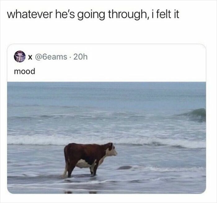 If You Needed Something To Laugh At Today, These 78 Random Memes Might Do The Job If You Needed Something To Laugh At Today, These 78 Random Memes Might Do The Job