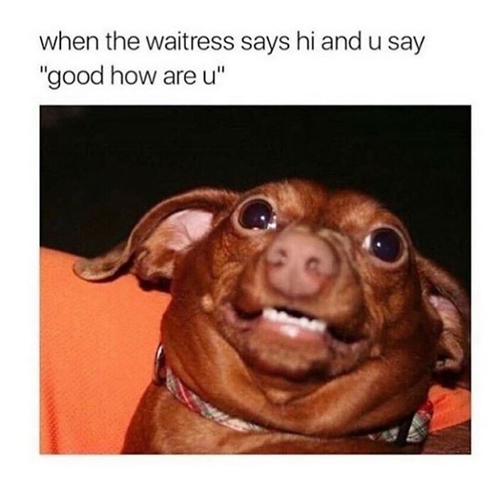 If You Needed Something To Laugh At Today, These 78 Random Memes Might Do The Job If You Needed Something To Laugh At Today, These 78 Random Memes Might Do The Job