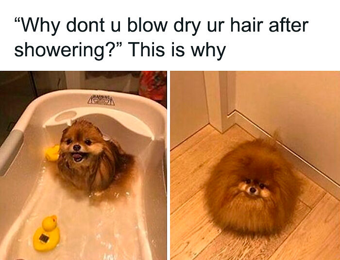 If You Needed Something To Laugh At Today, These 78 Random Memes Might Do The Job If You Needed Something To Laugh At Today, These 78 Random Memes Might Do The Job