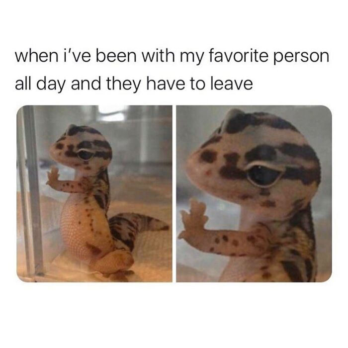 If You Needed Something To Laugh At Today, These 78 Random Memes Might Do The Job If You Needed Something To Laugh At Today, These 78 Random Memes Might Do The Job
