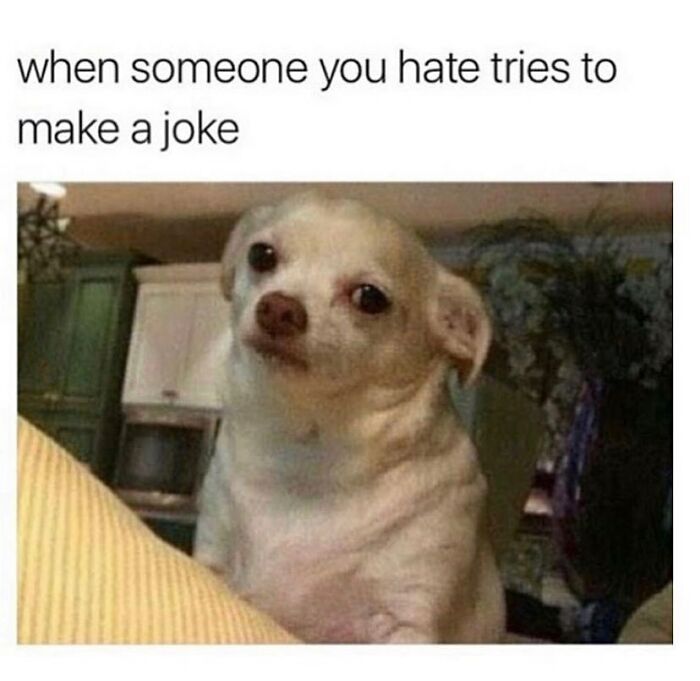 If You Needed Something To Laugh At Today, These 78 Random Memes Might Do The Job If You Needed Something To Laugh At Today, These 78 Random Memes Might Do The Job