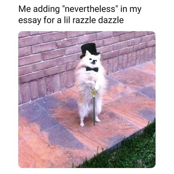 If You Needed Something To Laugh At Today, These 78 Random Memes Might Do The Job If You Needed Something To Laugh At Today, These 78 Random Memes Might Do The Job