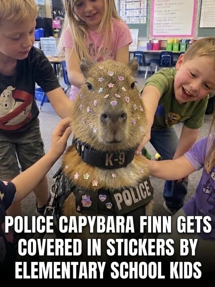 This Page Shared 25 Fictional Capybara “Facts” That Are So Funny We Wish They Were Real This Page Shared 25 Fictional Capybara “Facts” That Are So Funny We Wish They Were Real