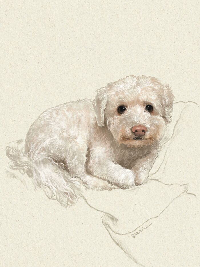 This Artist Draws Dog Portraits That Perfectly Capture Each Pet&rsquo;s Personality (76 Pics)