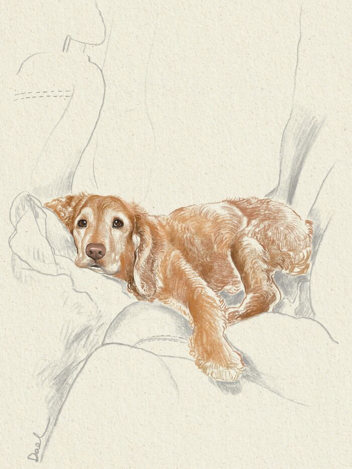This Artist Draws Dog Portraits That Perfectly Capture Each Pet&rsquo;s Personality (76 Pics)