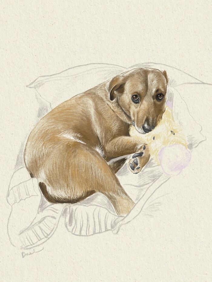 This Artist Draws Dog Portraits That Perfectly Capture Each Pet&rsquo;s Personality (76 Pics)