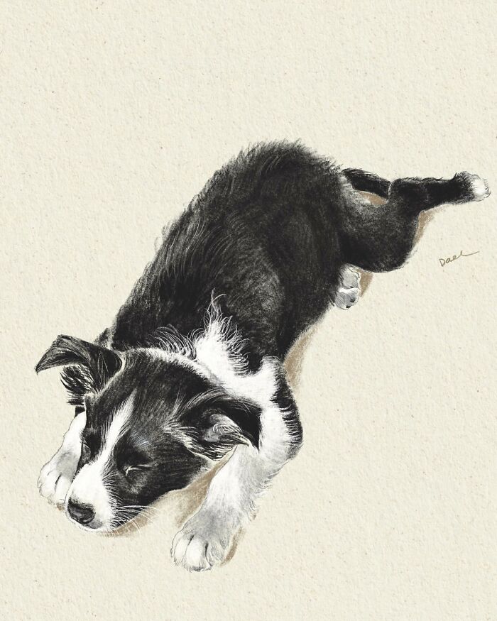 This Artist Draws Dog Portraits That Perfectly Capture Each Pet&rsquo;s Personality (76 Pics)