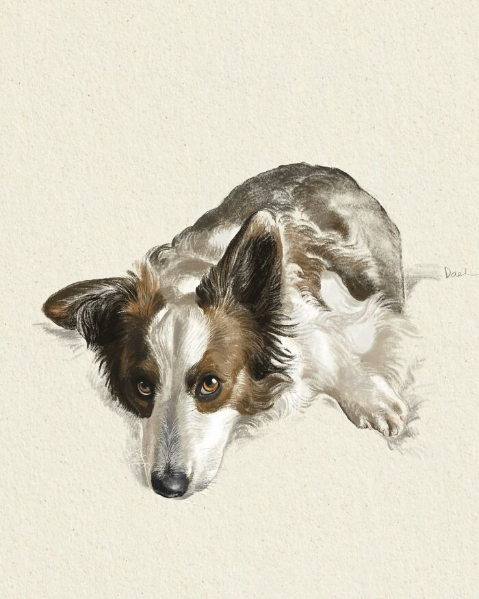 This Artist Draws Dog Portraits That Perfectly Capture Each Pet&rsquo;s Personality (76 Pics)