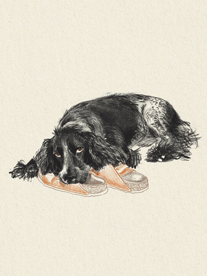 This Artist Draws Dog Portraits That Perfectly Capture Each Pet&rsquo;s Personality (76 Pics)