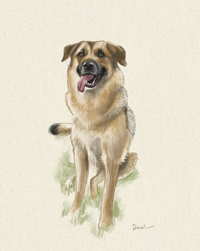 This Artist Draws Dog Portraits That Perfectly Capture Each Pet&rsquo;s Personality (76 Pics)