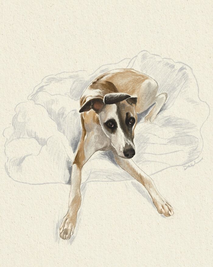 This Artist Draws Dog Portraits That Perfectly Capture Each Pet&rsquo;s Personality (76 Pics)
