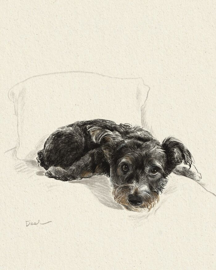 This Artist Draws Dog Portraits That Perfectly Capture Each Pet&rsquo;s Personality (76 Pics)