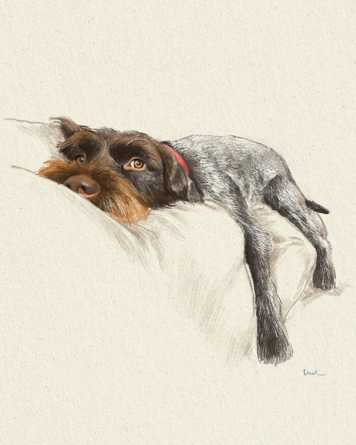 This Artist Draws Dog Portraits That Perfectly Capture Each Pet&rsquo;s Personality (76 Pics)