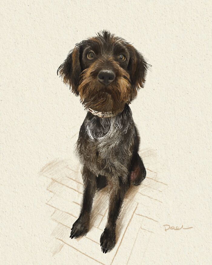 This Artist Draws Dog Portraits That Perfectly Capture Each Pet&rsquo;s Personality (76 Pics)
