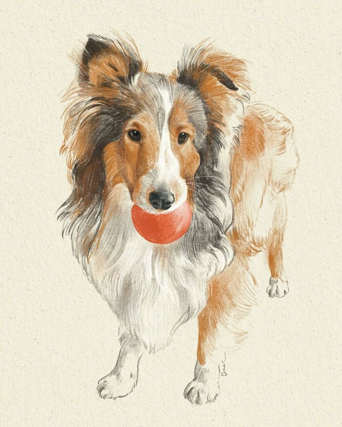 This Artist Draws Dog Portraits That Perfectly Capture Each Pet&rsquo;s Personality (76 Pics)