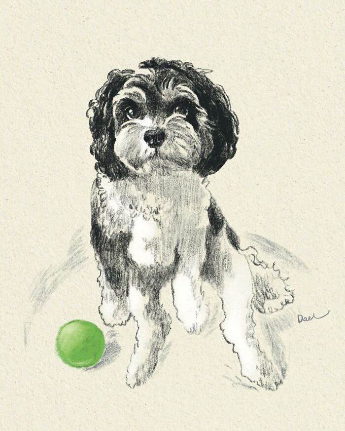 This Artist Draws Dog Portraits That Perfectly Capture Each Pet&rsquo;s Personality (76 Pics)
