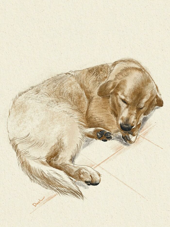 This Artist Draws Dog Portraits That Perfectly Capture Each Pet&rsquo;s Personality (76 Pics)