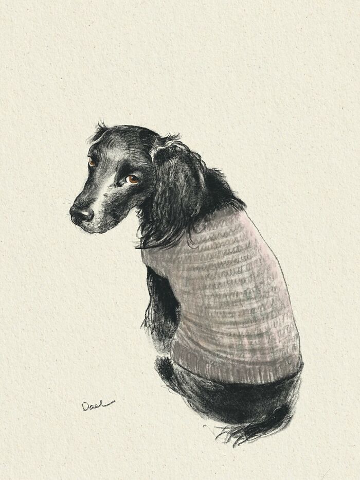 This Artist Draws Dog Portraits That Perfectly Capture Each Pet&rsquo;s Personality (76 Pics)